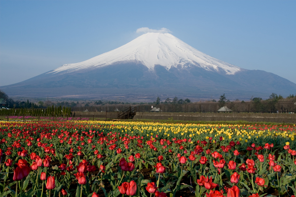 花の都公園